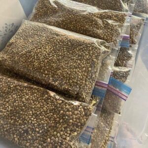 Packs of various strains available