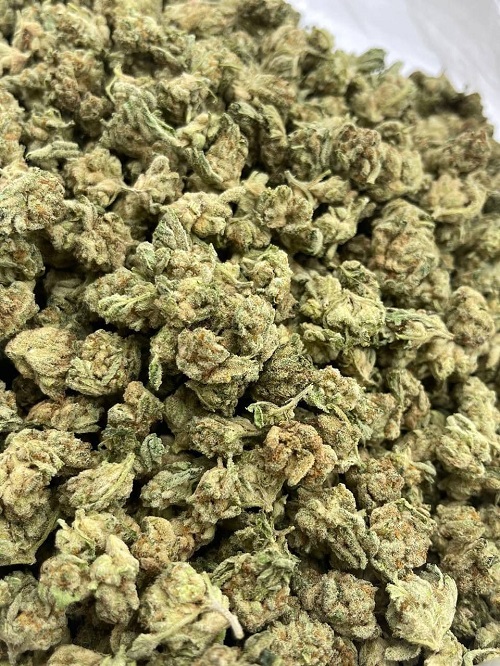 Animal Mints Strain - Image 2