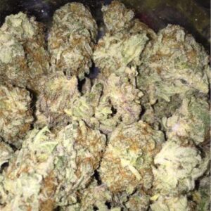 Blackberry Kush Strain