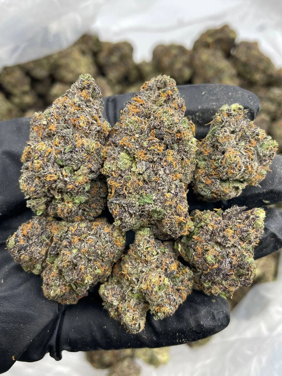 Blue Candy Lemonz strain - Image 3