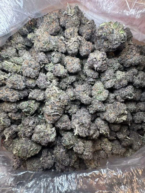 Blue Candy Lemonz strain - Image 2