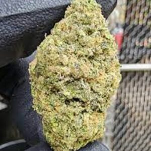 Cap Junky
