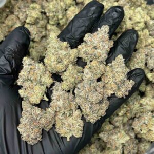 Carbon Fiber Strain