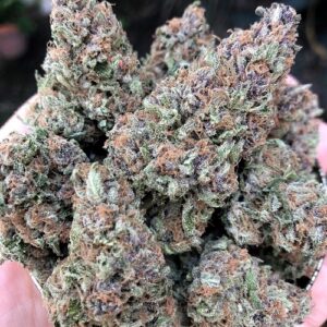 Cherry Punch