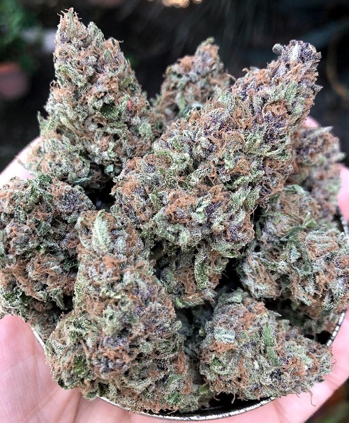 Cherry Punch