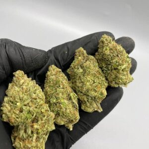 Clementine Strain