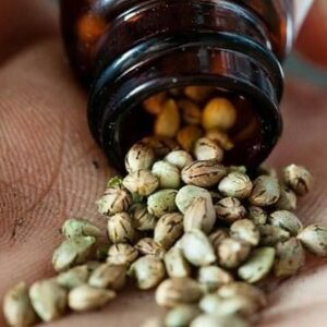 Gorilla Glue seeds