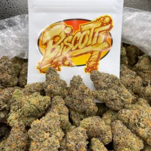 biscotti strain