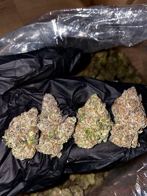 Pineapple Express