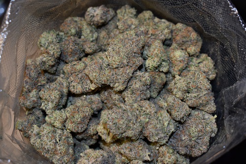 Sour Diesel
