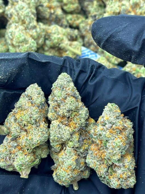 Sour Tangie