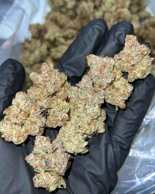 Zookies Weed Strains