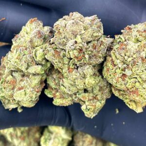 Amnesia Haze Strain