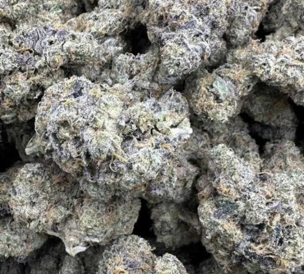 Lemon Gelato pop - Image 2