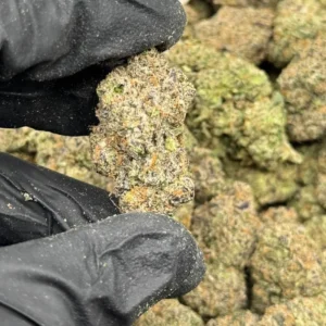 Cherry Gushers strain (Black, White & Lemon)