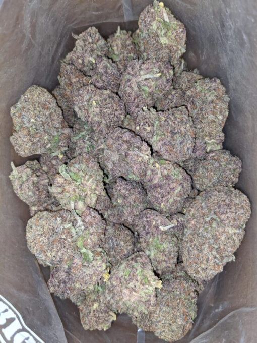 Purple Haze Strain